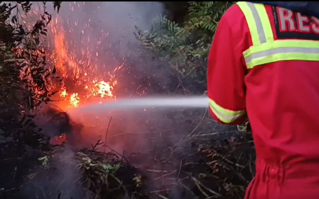 Ancaman Karhutla Kaltim Meluas, Lahan Perusahaan Paling Banyak Terbakar, Status Siaga Darurat Disiapkan