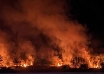 Sempat Padam, Lahan Gambut di KM 31 Tol Balikpapan-Samarinda Kembali Membara