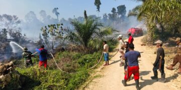 Berkejaran dengan Angin dan Gambut, Perjuangan Pantang Menyerah Petugas Padamkan Karhutla di Kaltim
