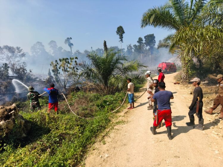 Berkejaran dengan Angin dan Gambut, Perjuangan Pantang Menyerah Petugas Padamkan Karhutla di Kaltim