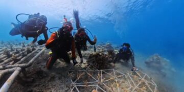 Merajut Masa Depan Bawah Laut Pulau Miang, Warisan Karang untuk Anak Cucu Kita