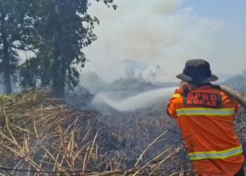 Kabut Asap Karhutla Sanga-Sanga Kian Pekat, Warga Keluhkan Sesak Napas Meski di Dalam Rumah