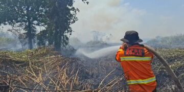Kabut Asap Karhutla Sanga-Sanga Kian Pekat, Warga Keluhkan Sesak Napas Meski di Dalam Rumah