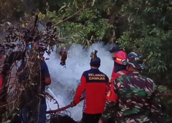 Krisis Air dan Akses Jalan Persulit Pemadam Redam Karhutla Perbatasan Samarinda-Kukar