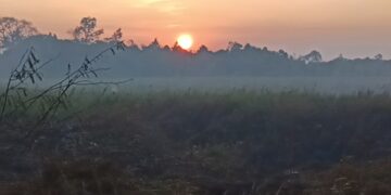 Saat Angin Kencang Kembali Menghidupkan Bara Api di Lahan Gambut di Pendingin
