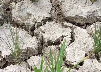 Perjuangan Petani Makroman Melawan Dahaga Kemarau