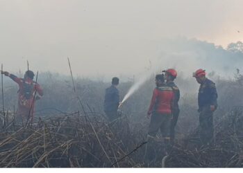Perjuangan Petugas Gabungan, Bertaruh Nyawa Tembus Asap Pekat dan Lahan Tandus Palaran