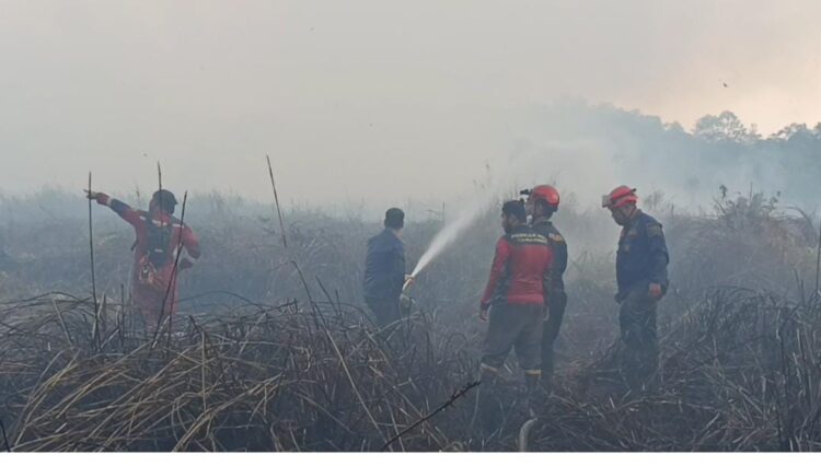 Perjuangan Petugas Gabungan,  Bertaruh Nyawa Tembus Asap Pekat dan Lahan Tandus Palaran