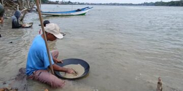 WARGA EMBALUT MENGULANG MEMORI 1997, MENGASAH PERUNTUNGAN EMAS DI DASAR MAHAKAM