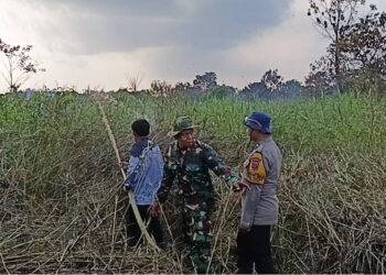 Momen Satpol PP dan Babinsa Samarinda Berbagi Selang Air Ini Bikin Adem