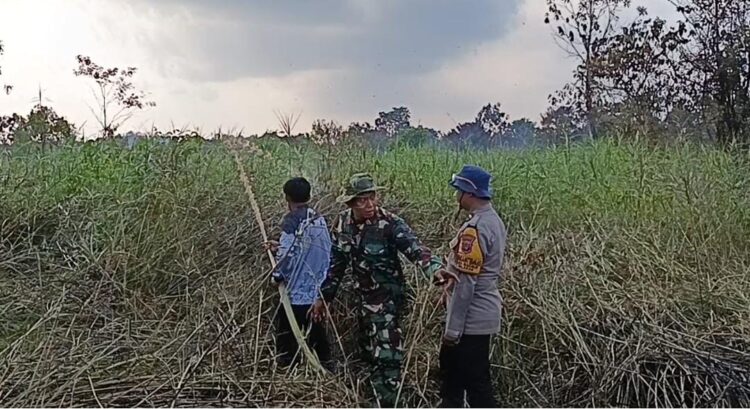 Momen Satpol PP dan Babinsa Samarinda Berbagi Selang Air Ini Bikin Adem