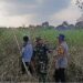 Momen Satpol PP dan Babinsa Samarinda Berbagi Selang Air Ini Bikin Adem