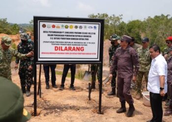 Menjaga Jantung Hijau IKN, Kisah Satgas PKH Ambil Alih 111 Hektare Lahan Tambang Ilegal di Tahura Bukit Soeharto