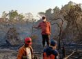 Karhutla Samarinda Meluas dan Picu Kabut Asap Pekat, Status Tanggap Darurat Resmi Diperpanjang