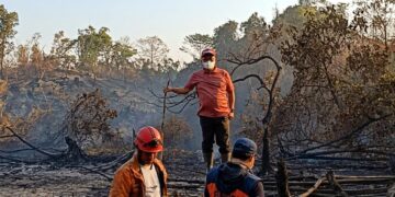Karhutla Samarinda Meluas dan Picu Kabut Asap Pekat, Status Tanggap Darurat Resmi Diperpanjang