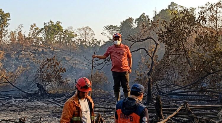 Karhutla Samarinda Meluas dan Picu Kabut Asap Pekat, Status Tanggap Darurat Resmi Diperpanjang